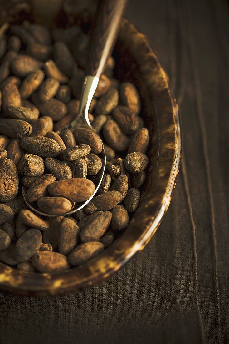 Spoonful of Cocoa Beans Over a Bowl of Cocoa Beans, Overhead