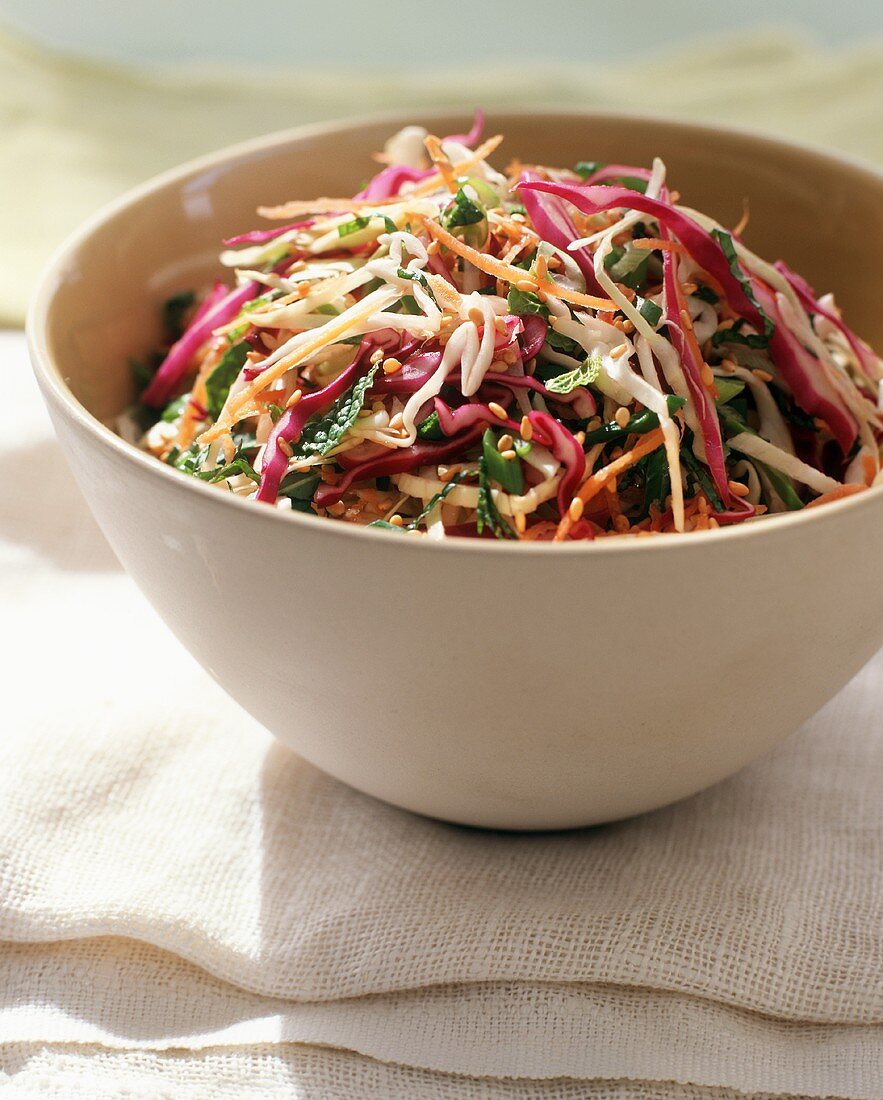 Bowl of Asian Slaw with Sesame Seeds