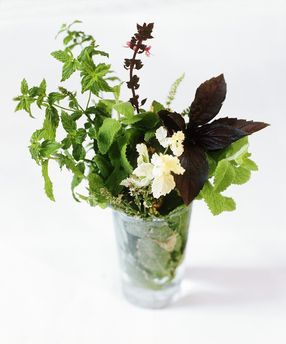 Fresh Herb Bouquet with Mint and Basil in a Cup