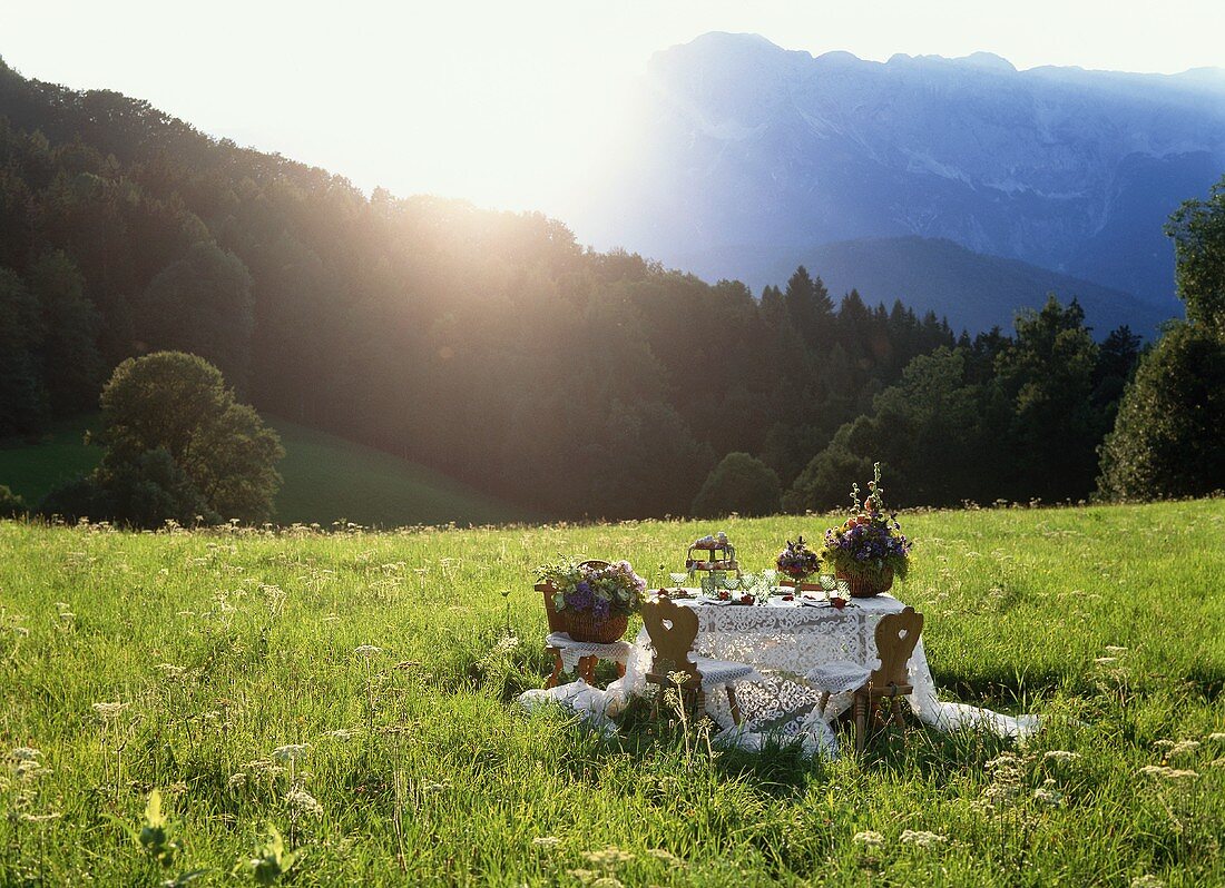 Table Set in a Field with Mountain Views (Austria)