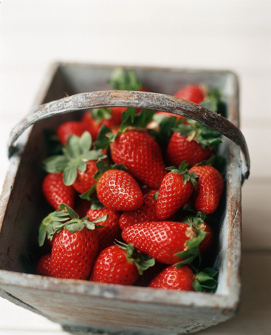 Frische Bio-Erdbeeren im Holzkorb