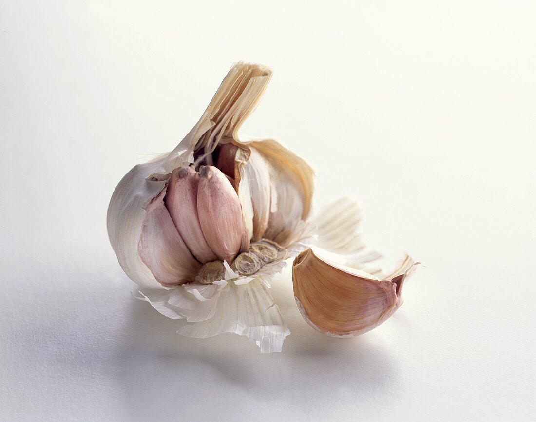 Garlic Bulb with Clove of Garlic