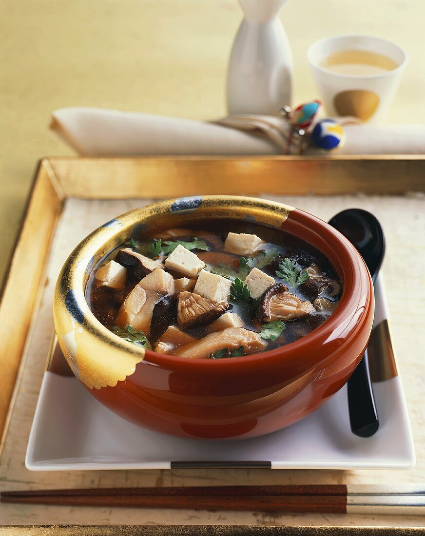 Tofu and Mushroom Soup