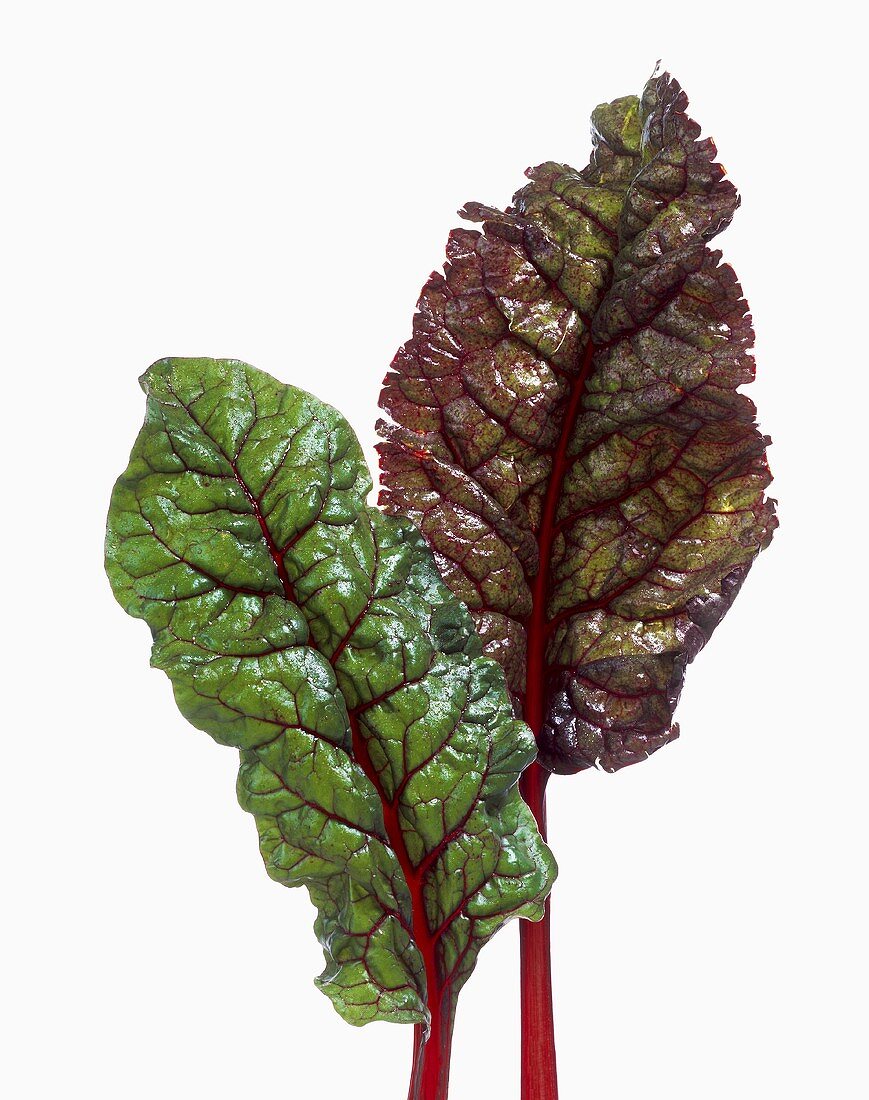 Red Chard Leaves