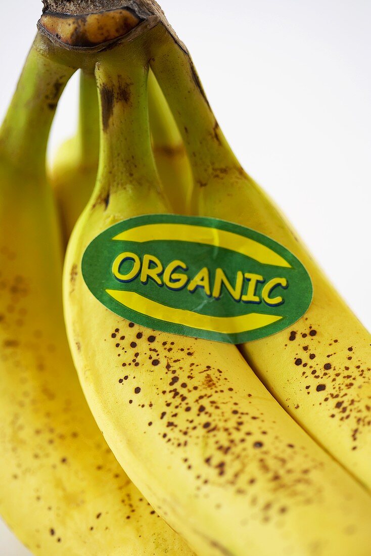 A Bunch of Organic Bananas