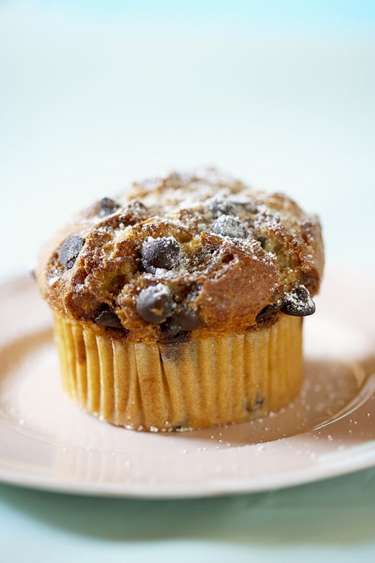 Ein Chocolate Chip Muffin