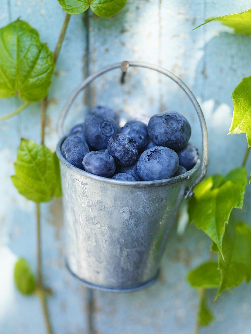 A Pail of Blueberries Hanging on a Nail