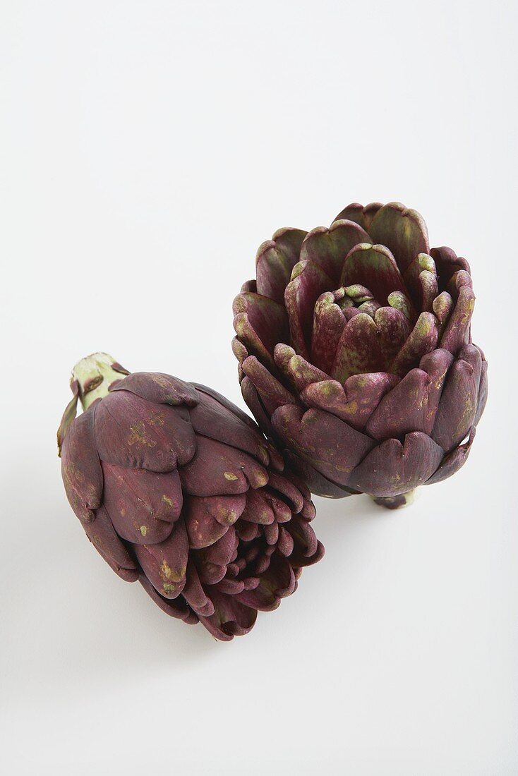 Two Purle Artichokes on a White Background