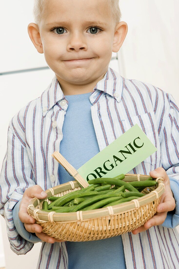 Kleiner Junge hält Korb mit grünen Biobohnen