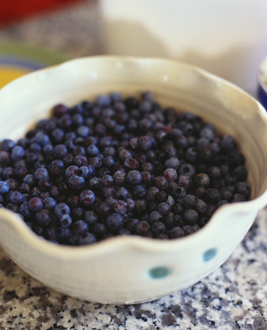 Bowl of Wild Maine Blueberries