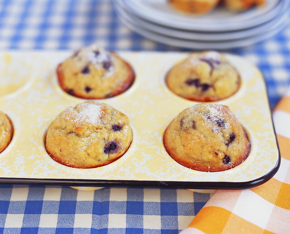 Heidelbeermuffins mit Puderzucker in der Form