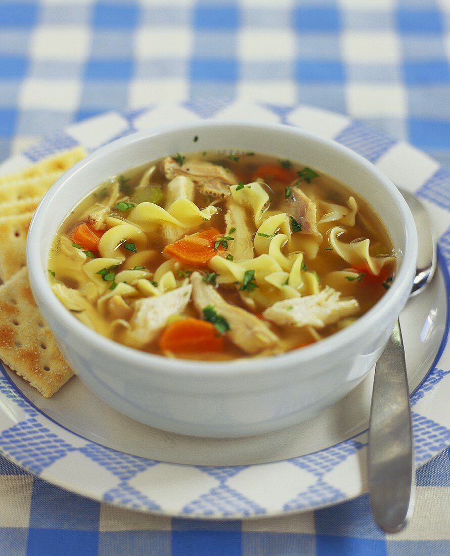 Bowl of Chicken Noodle Soup with Crackers