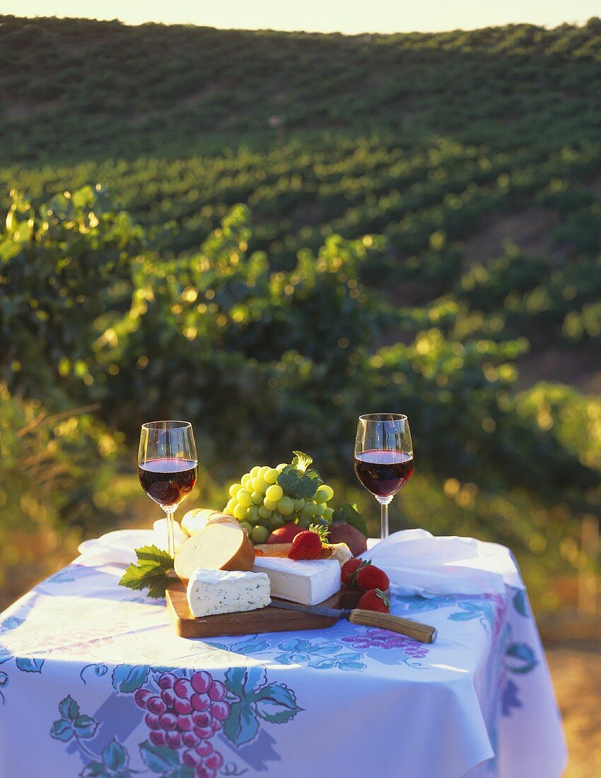 Table Set with Wine and Cheese in Vineyard