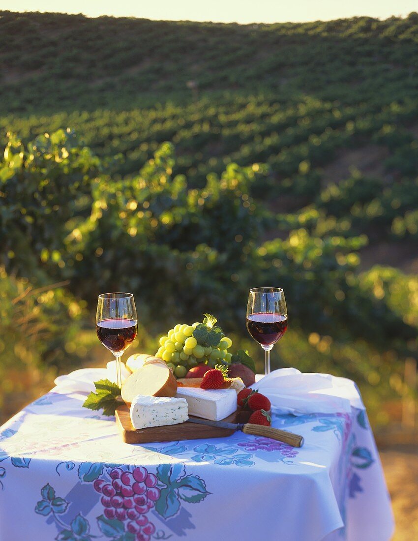 Tisch mit Rotwein, Käse und Weintrauben am Weinberg