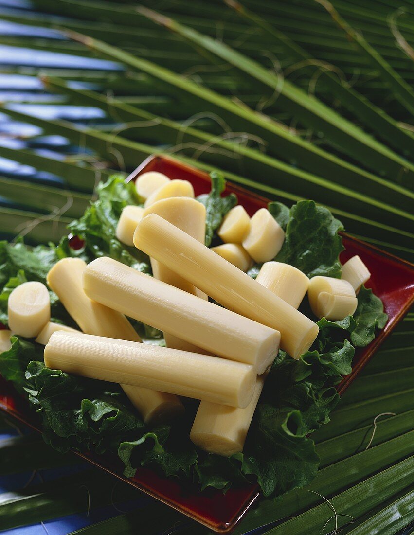 Bambussprossen auf Salatblättern