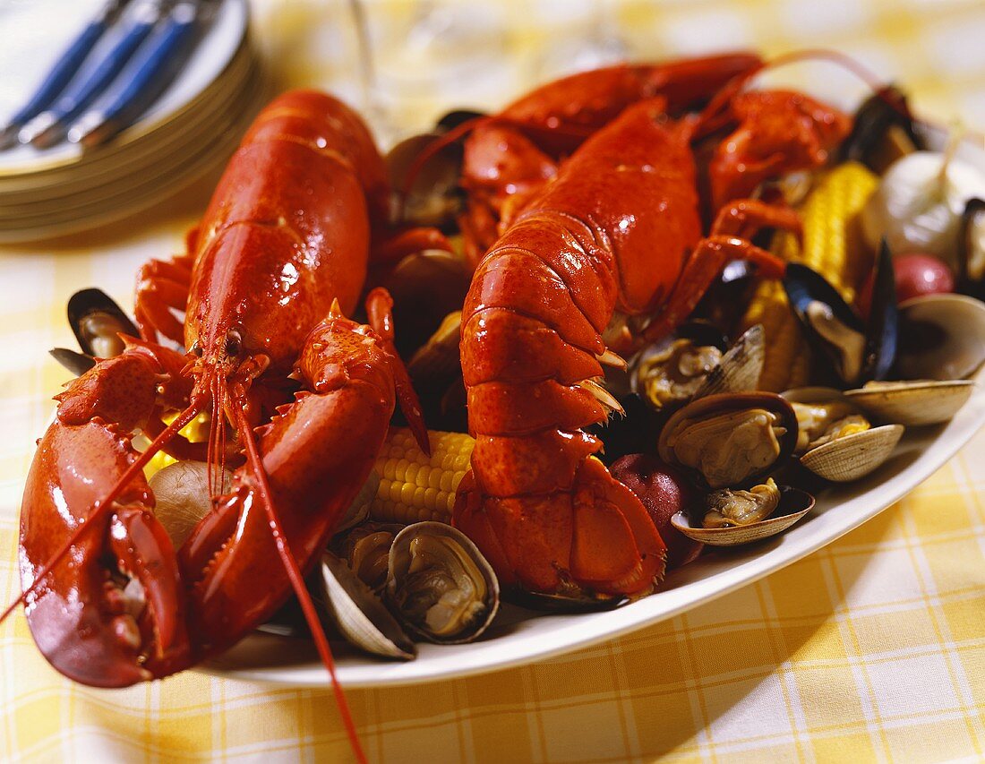 Lobster Bake Platter with Shellfish and Corn on the Cob