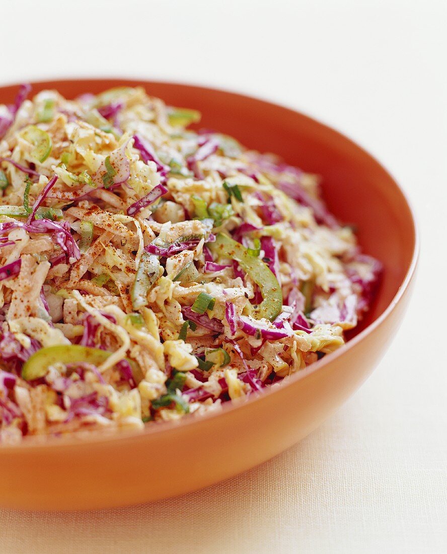 Coleslaw in einer Salatschüssel (Kohlsalat, USA)