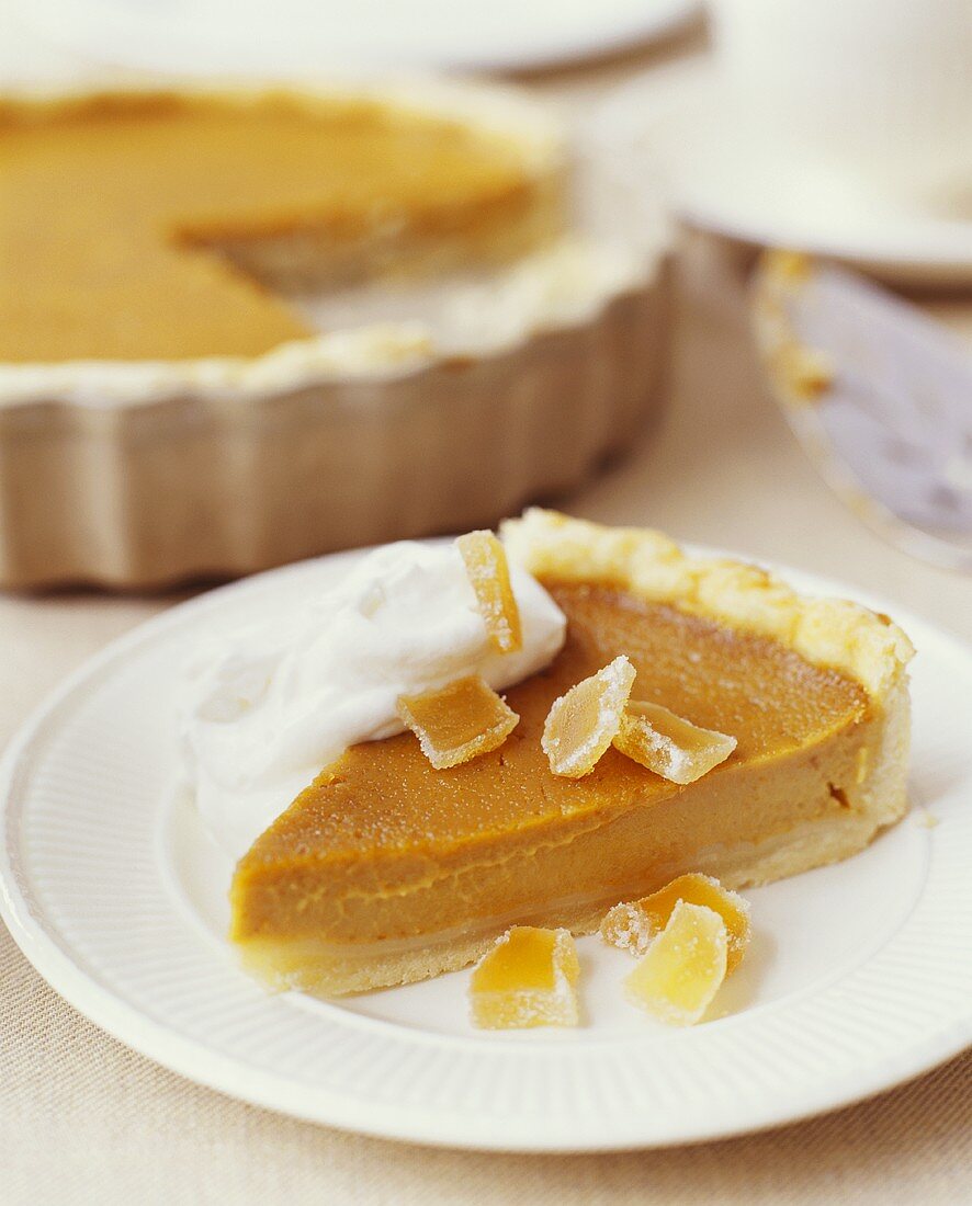 Slice of Pumpkin Pie with Candied Citrus and Cream