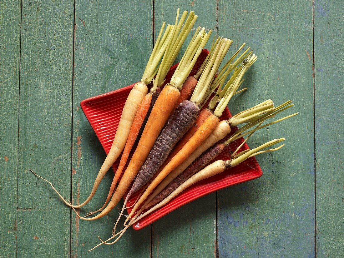 Multi Colored Carrots