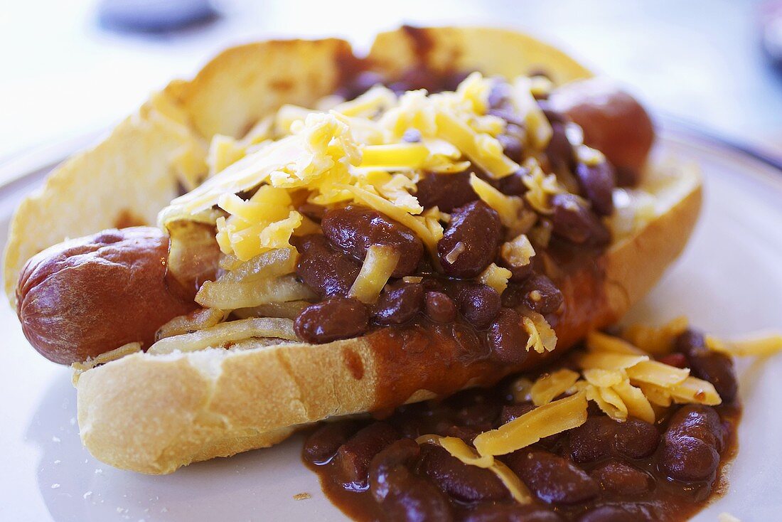 Chili Cheese Dog