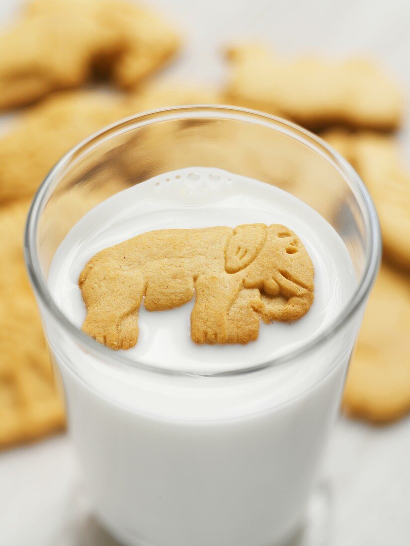 Elephant Animal Cracker Floating in a Glass of Milk