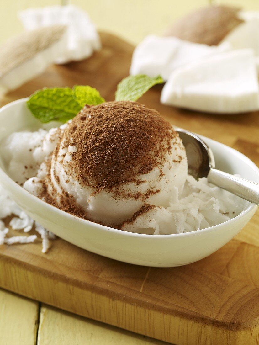 Bowl of Coconut Ice Cream Dusted with Cocoa