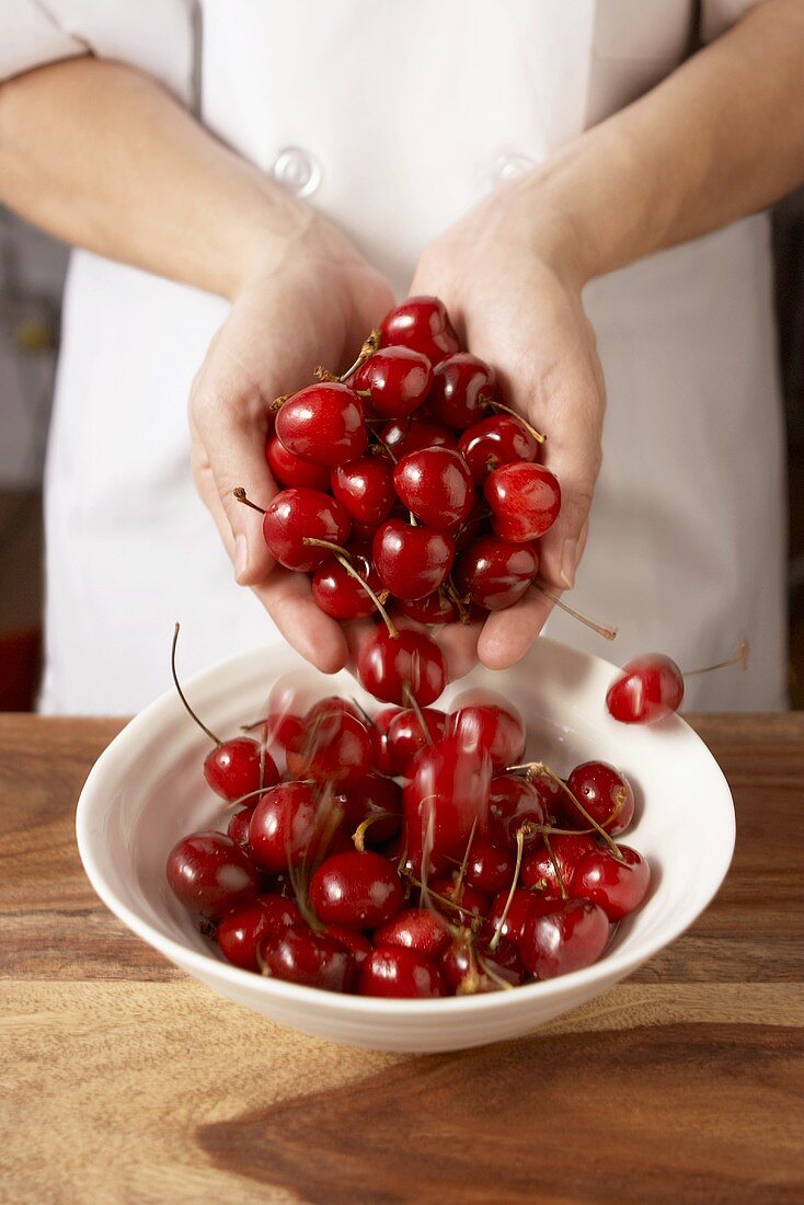 Hands Dropping Cherries into a Bowl