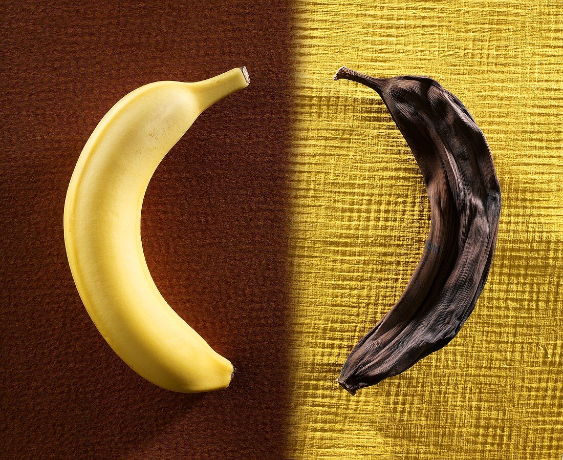 Two Bananas; One Fresh; One Rotten
