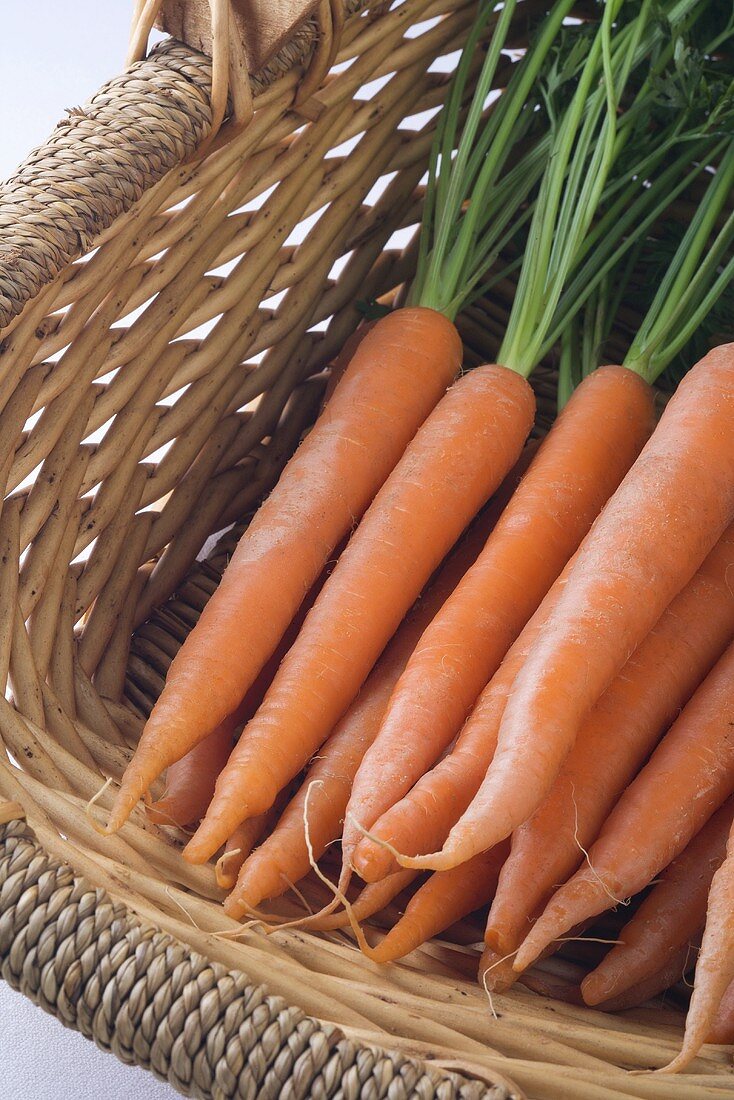 Farmers Market Carrots in a Basket
