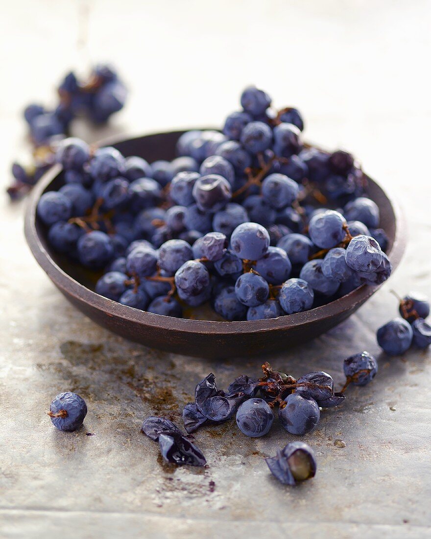 Bowl of Fresh Blue Grapes