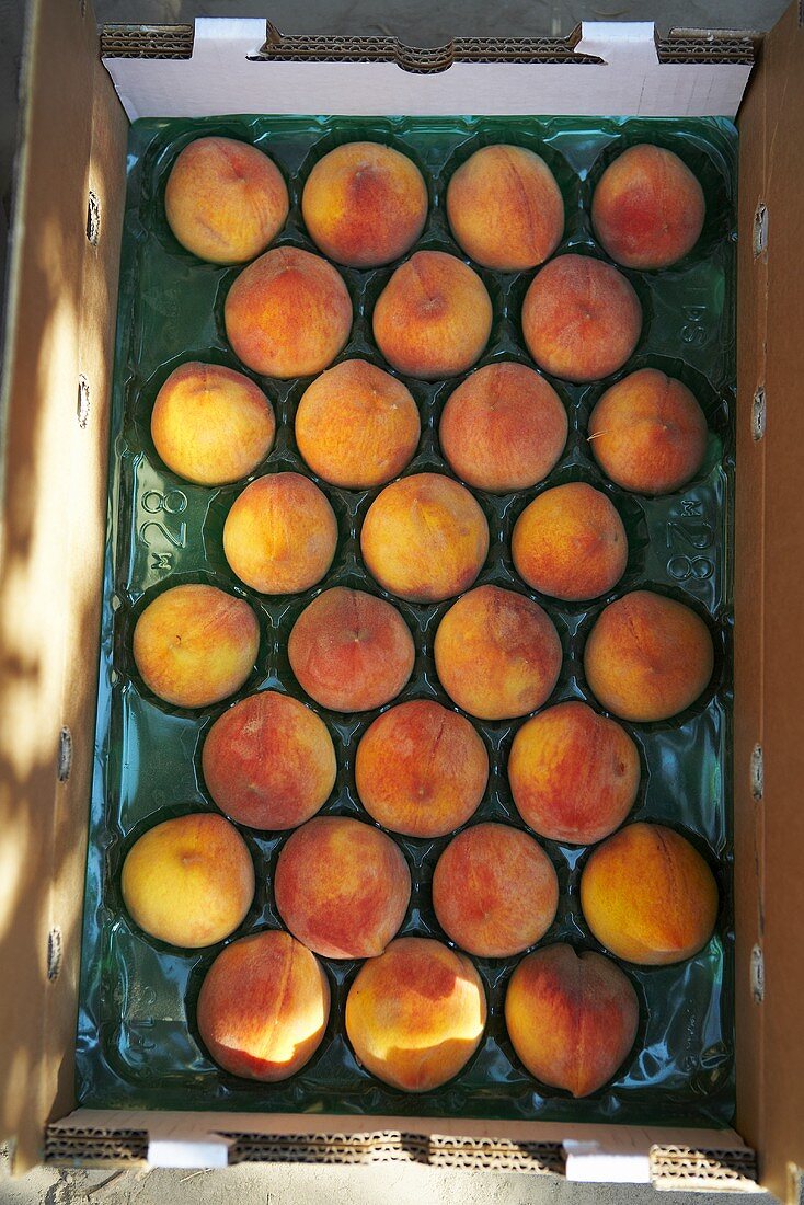 Full Case of Fresh Peaches; From Above