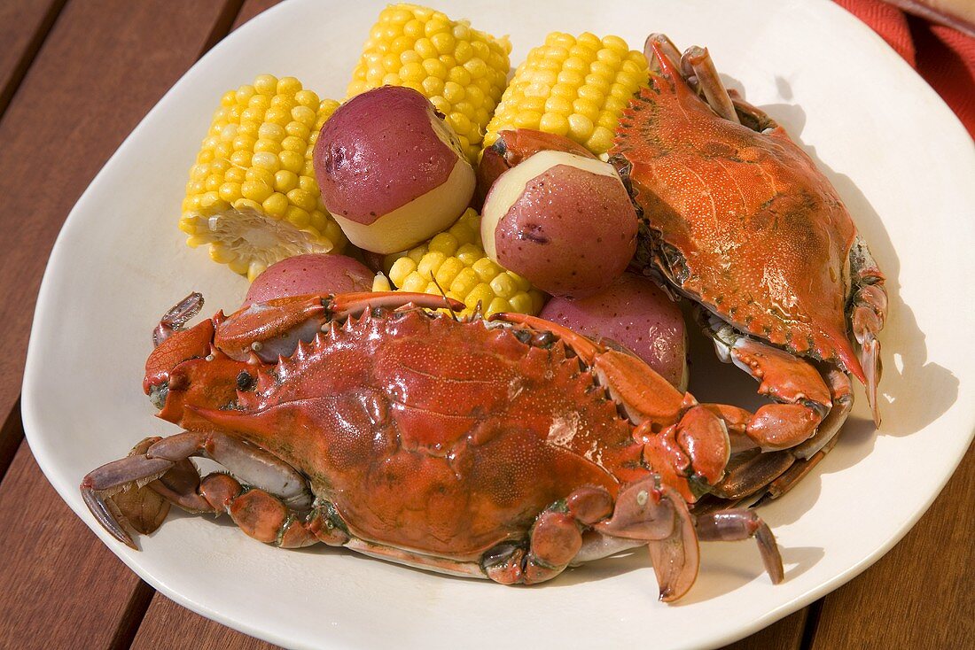 Boiled Blue Crabs with New Potatoes and Corn