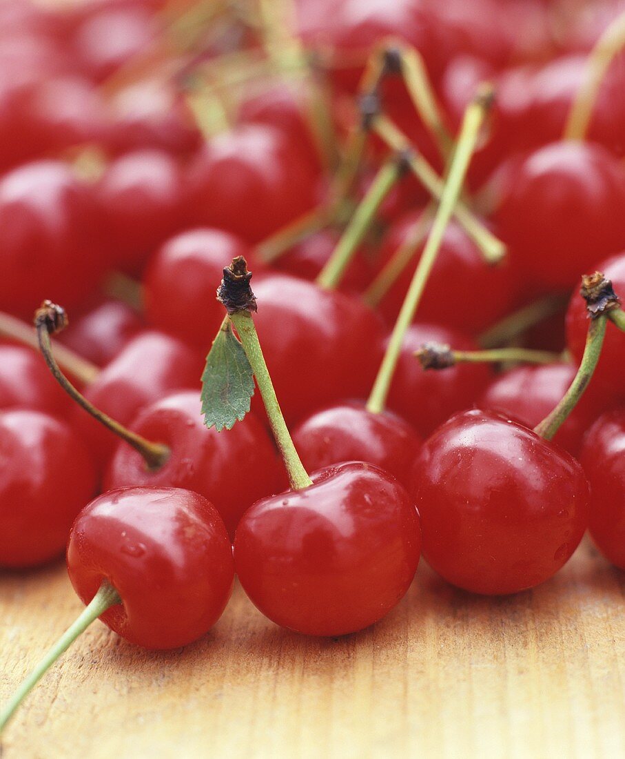 Many Sour Cherries on Wood