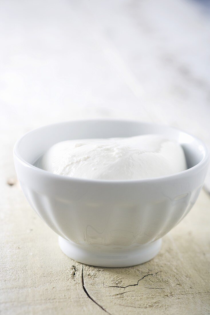 Fresh Buffalo Mozzarella in a Bowl