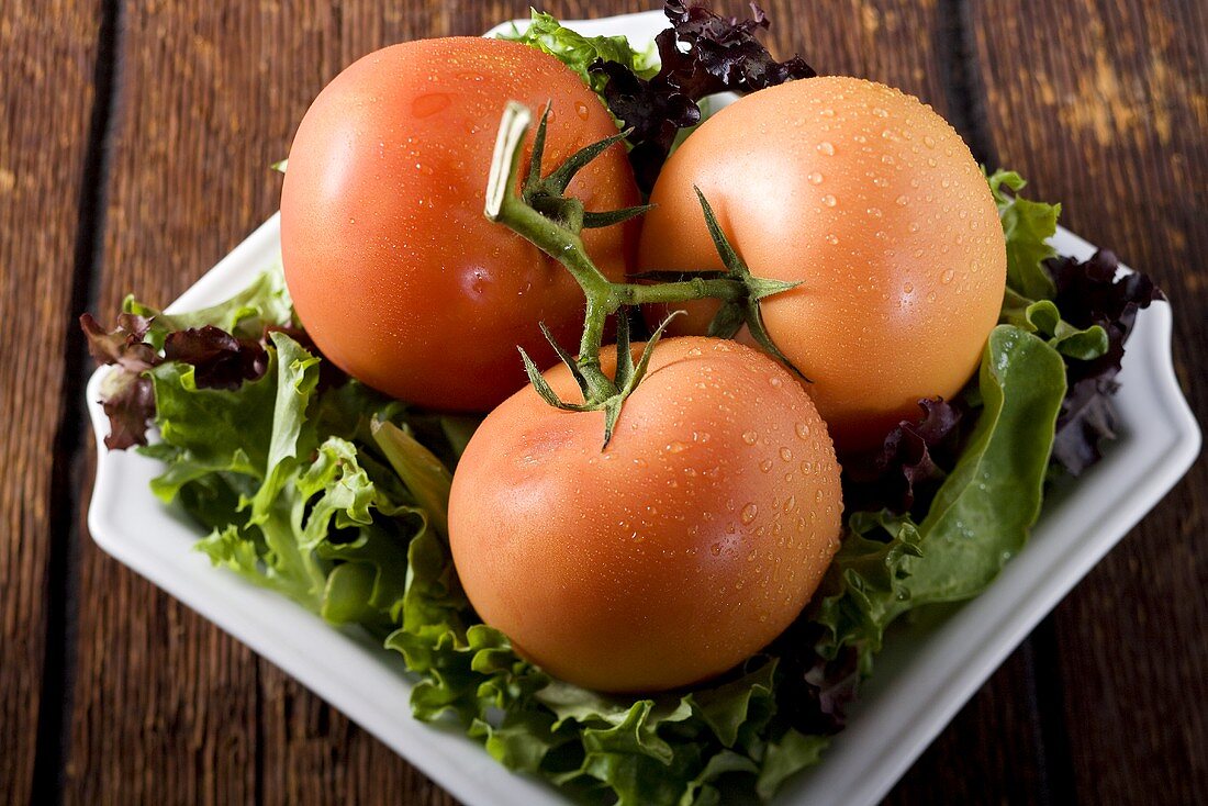 Drei Tomaten mit Wassertropfen auf Salatblättern