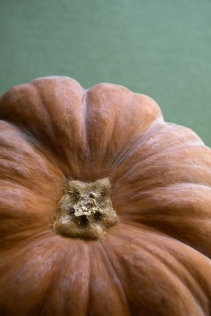 Pumpkin; Close Up