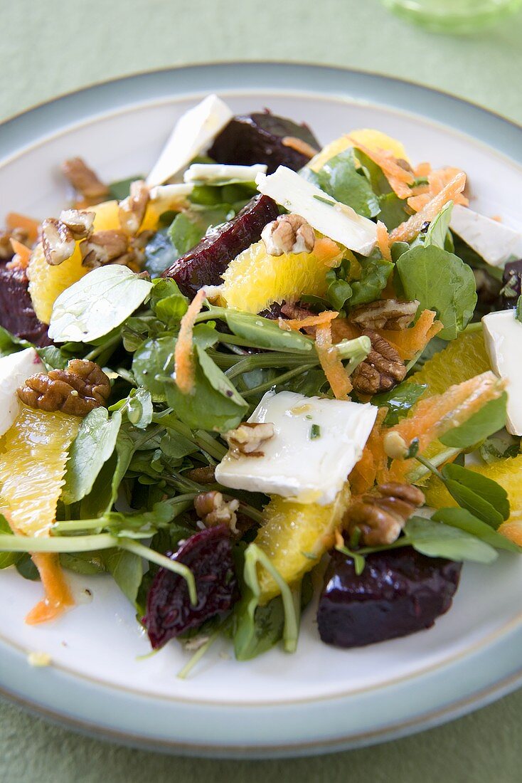 Rote-Bete-Salat mit Brunnenkresse, Orangen und Käse