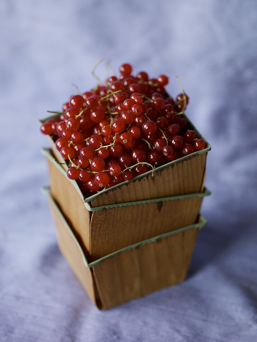 Lingonberries in Stacked Boxes