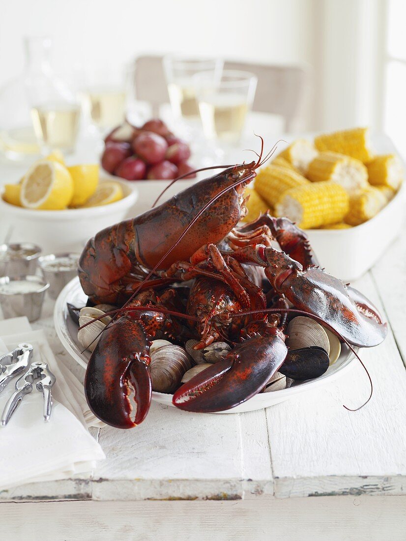 Lobsters and Steamers in Bowl of Table