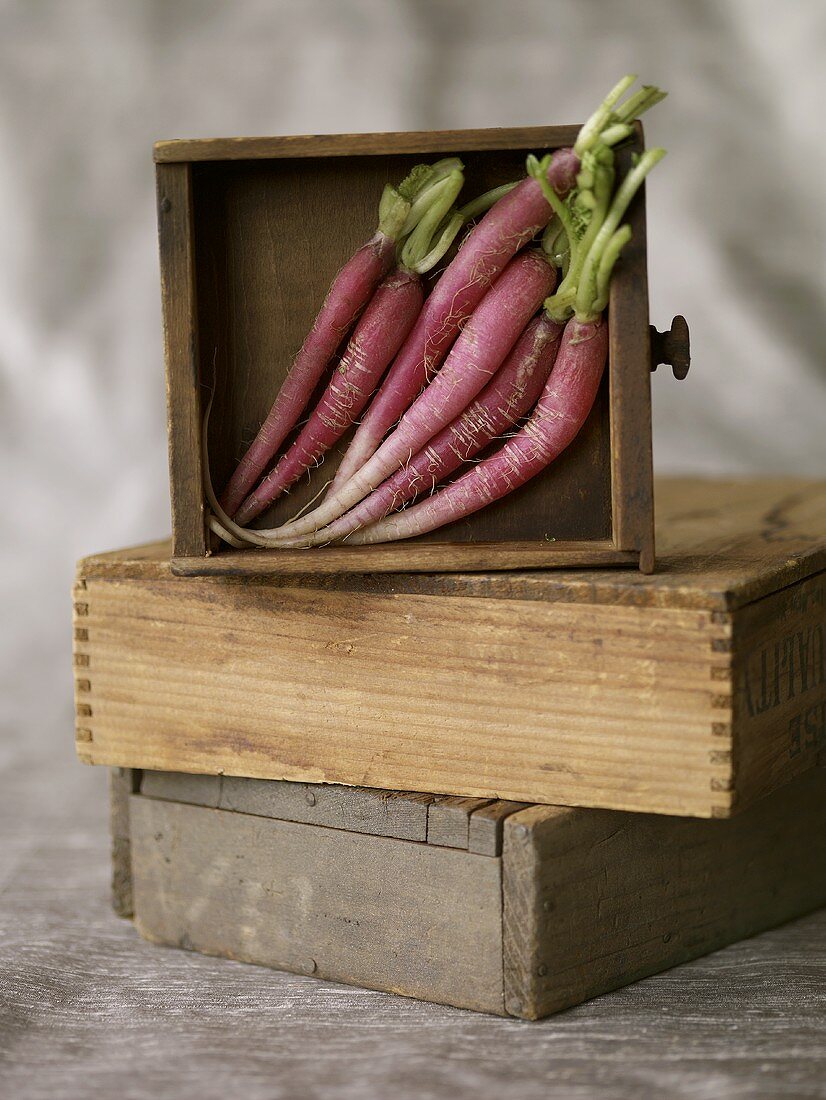 Red Carrots in Wooden Box