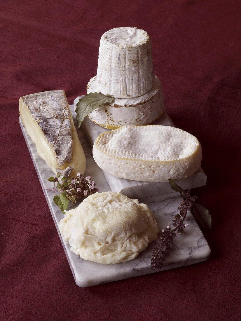 Assorted Cheese with Herbs on Marble
