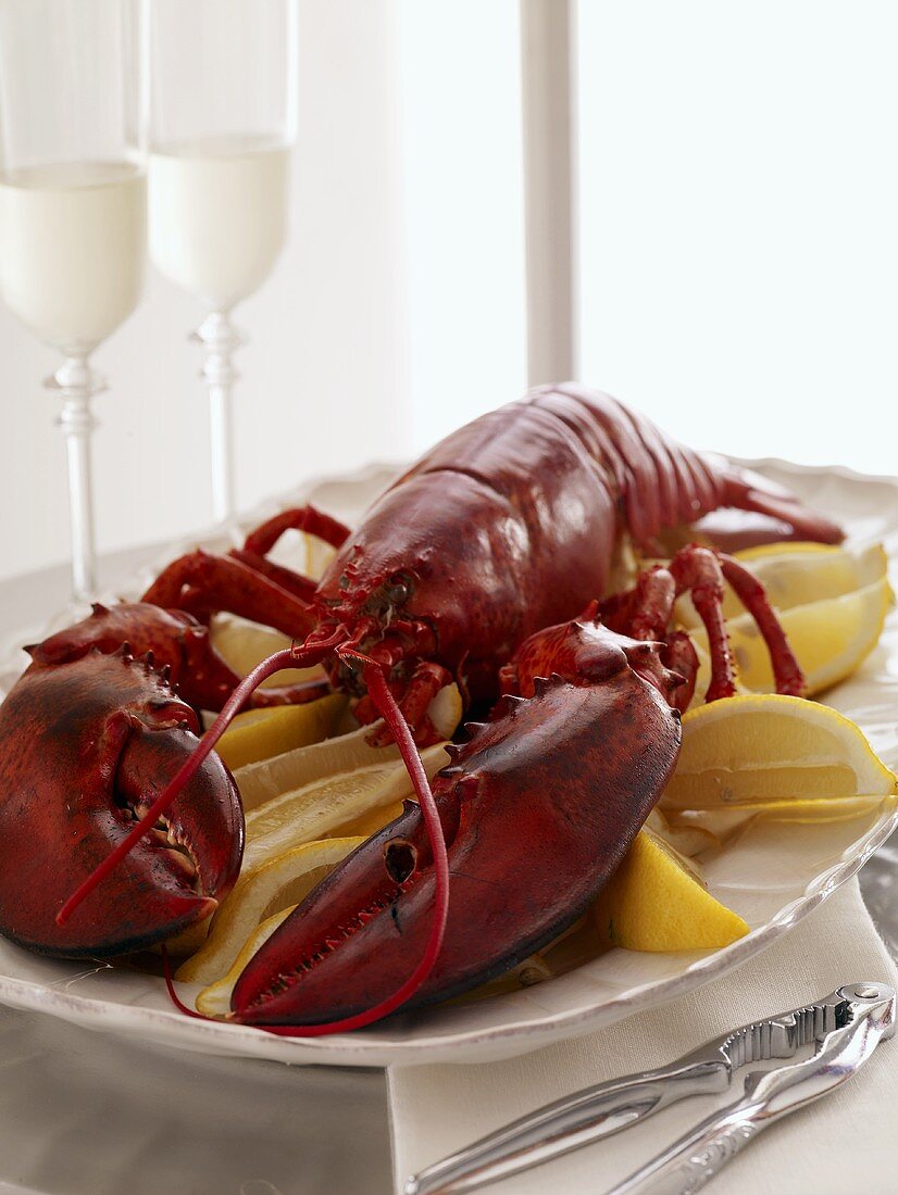 Lobster on Platter with Lemons; Champagne