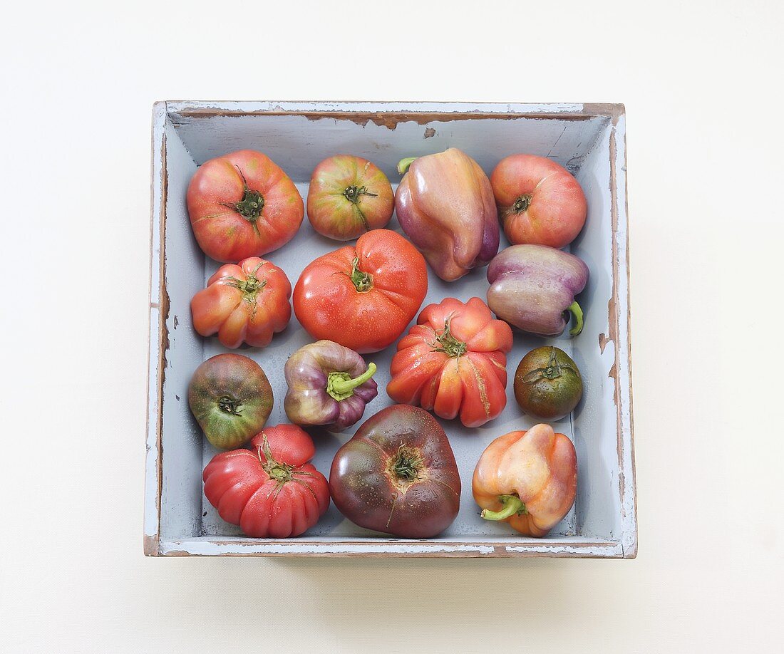 Tomaten und Paprika in einer Holzkiste