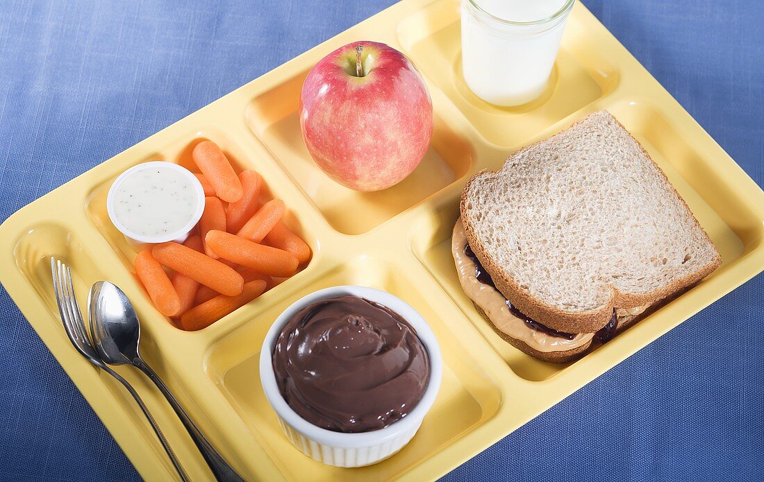 Childs Lunch Tray; From Above