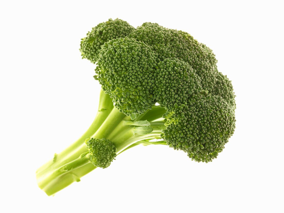 Broccoli on White Background