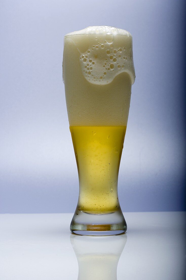 Lager with Foaming Head
