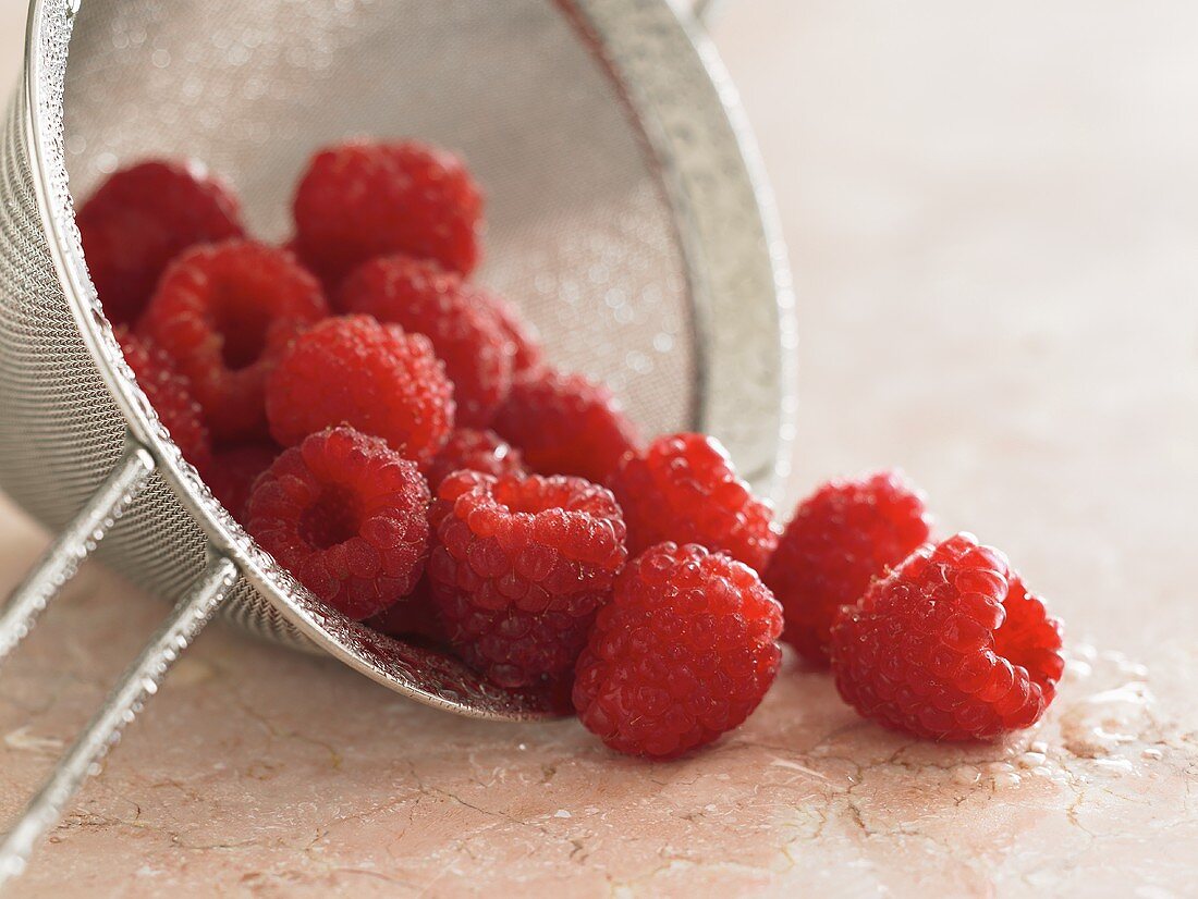 Frisch gewaschene Himbeeren mit umgekipptem Sieb