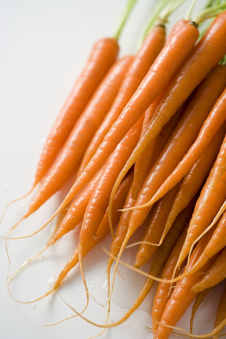 Fresh Carrots