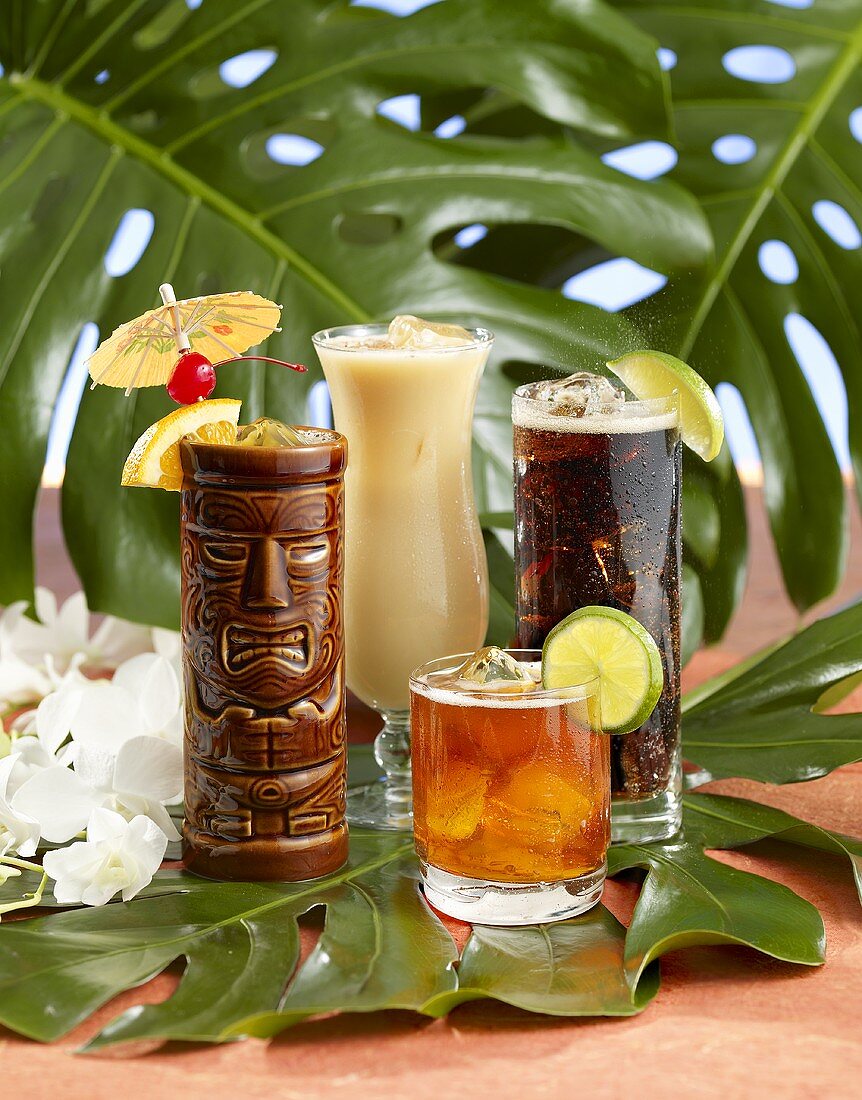 Four Tropical Rum Drinks on Monstera Leaves