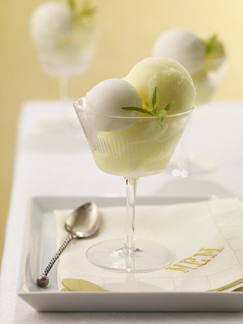 White and Yellow Sorbet in Stem Glass; On Tray with Napkin and Spoon